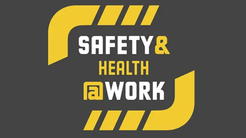 Safety Analyse health @work