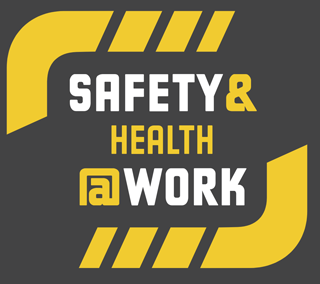 Safety Analyse health @work