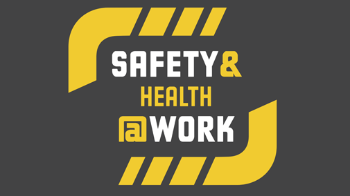 Safety Analyse health @work